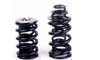 Brian Crower SRT-4 Valve Spring and Titanium Retainer Set